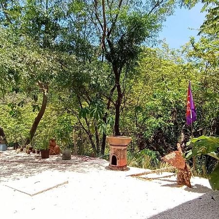 Playa Santa Teresa Laurel Jungle & Ocean别墅 外观 照片