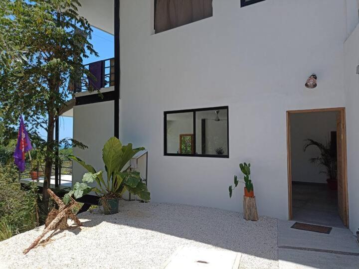 Playa Santa Teresa Laurel Jungle & Ocean别墅 外观 照片