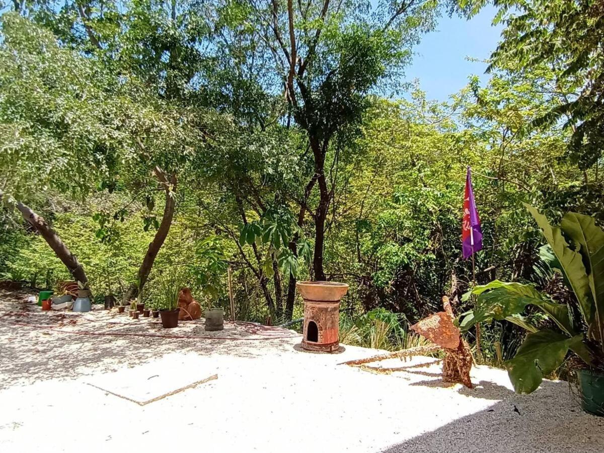 Playa Santa Teresa Laurel Jungle & Ocean别墅 外观 照片