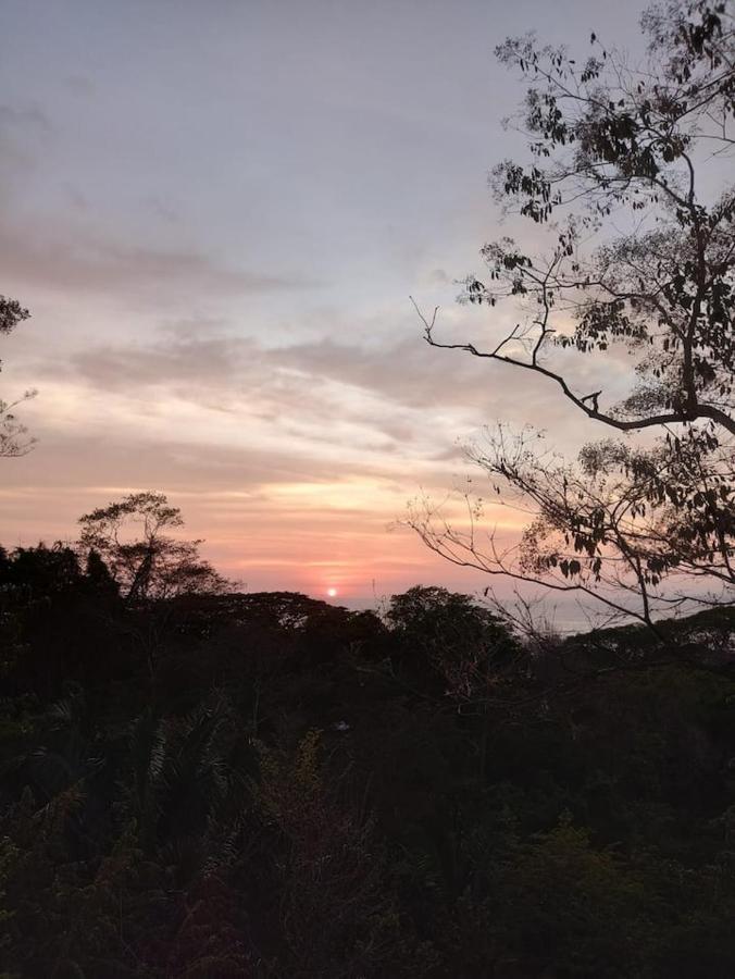 Playa Santa Teresa Laurel Jungle & Ocean别墅 外观 照片